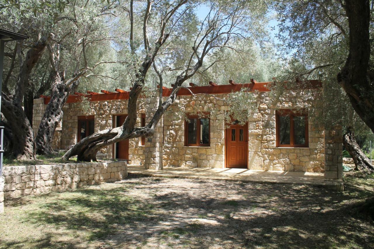 Apartamento Stonehouse In Olives Ulcinj Exterior foto